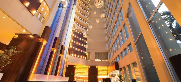 科隆瓜亚基尔希尔顿酒店(Hilton Colon Guayaquil)图片
