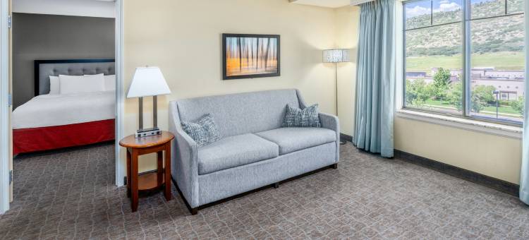 丹佛利特尔顿Homewood Suites by Hilton(Homewood Suites by Hilton Denver-Littleton)图片