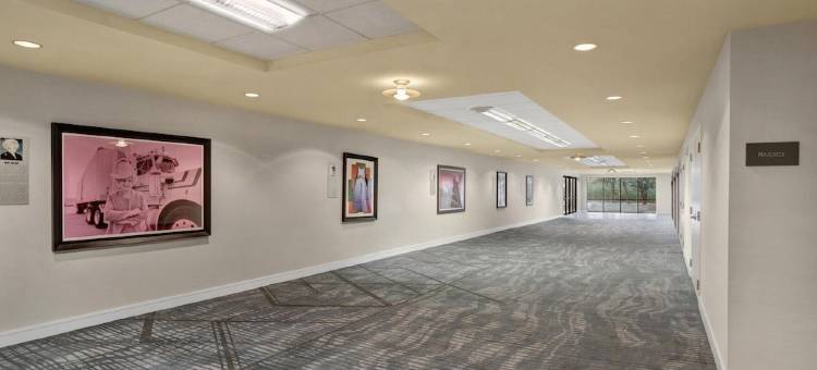 达拉斯-沃斯堡国际机场凯悦丽景湾酒店(Hyatt Regency DFW International Airport)图片