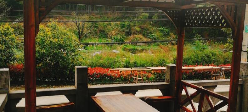 九龙湖栋兴生态农庄图片