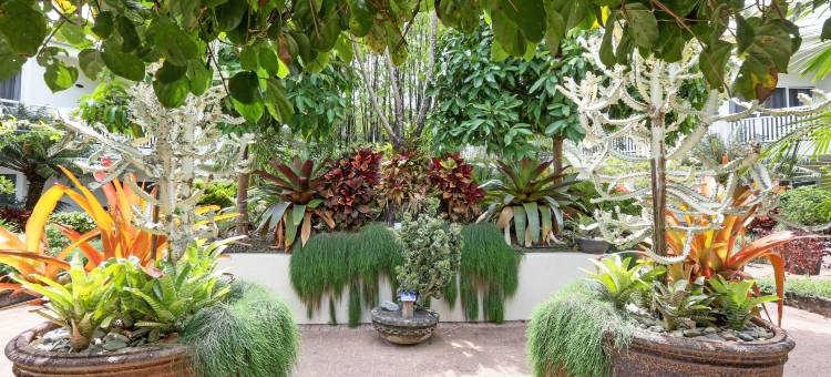 凯恩斯香格里拉(Shangri-La The Marina, Cairns)图片