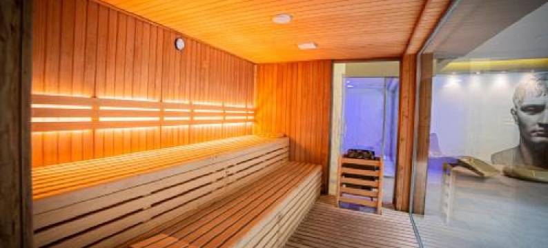 艾丽娅Spa酒店(Hotel Spa Elia)图片