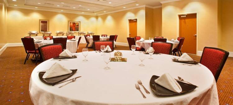Holiday Inn 奥罗拉北，内珀维尔(Holiday Inn Aurora North- Naperville)图片