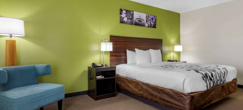 不伦瑞克舒眠酒店(Sleep Inn & Suites)图片