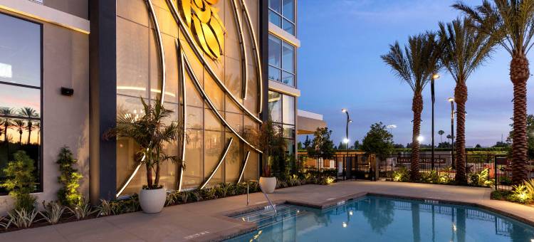 帕萨迪纳-阿卡迪亚艾美酒店(Le Méridien Pasadena Arcadia)图片