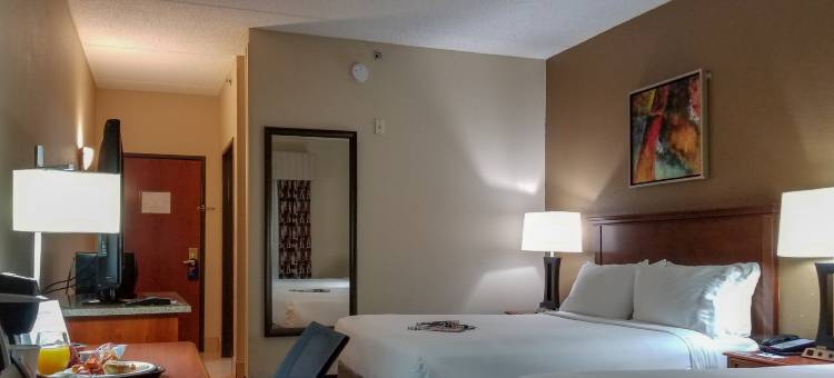 智选假日套房酒店奥兰治城(Holiday Inn Express & Suites Orange City - Deltona)图片