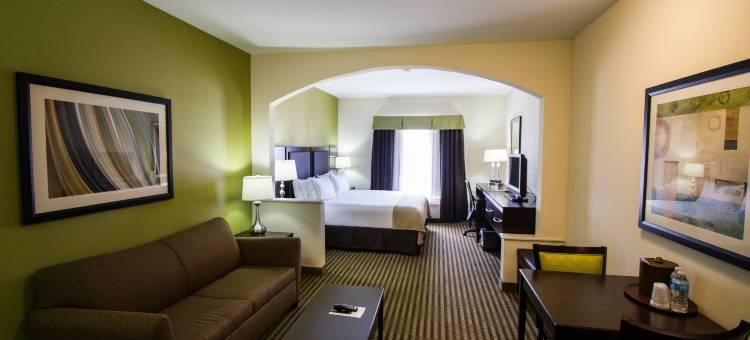 智选假日套房酒店纳科多奇斯(Holiday Inn Express & Suites Nacogdoches)图片