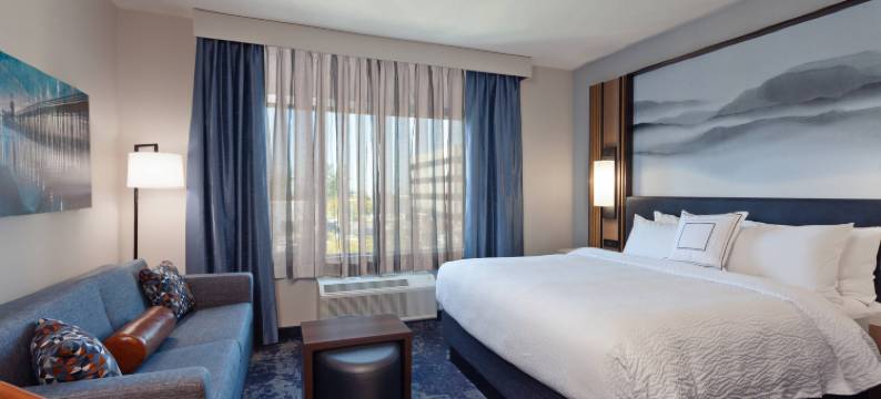 圣迭戈市中心TownePlace套房酒店(TownePlace Suites San Diego Central)图片