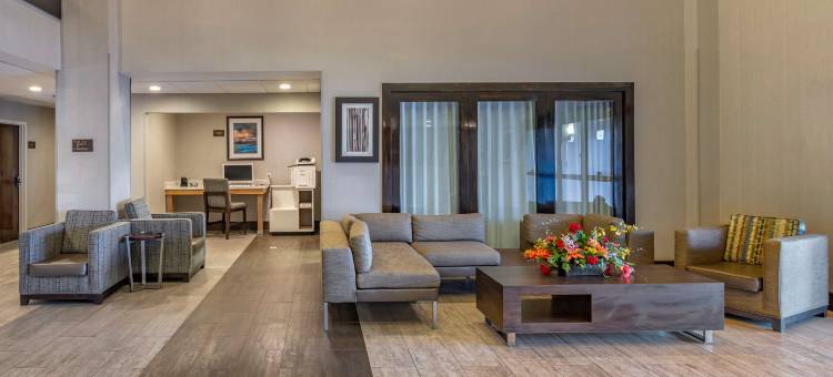 舒适套房酒店(Comfort Suites Alpharetta/Roswell - Atlanta Area)图片