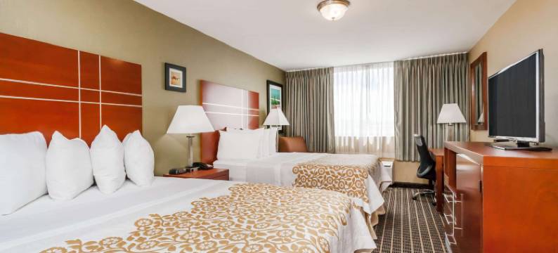 温莎洛克斯 戴斯酒店-布拉德利国际机场(Days Inn by Wyndham Windsor Locks / Bradley Intl Airport)图片