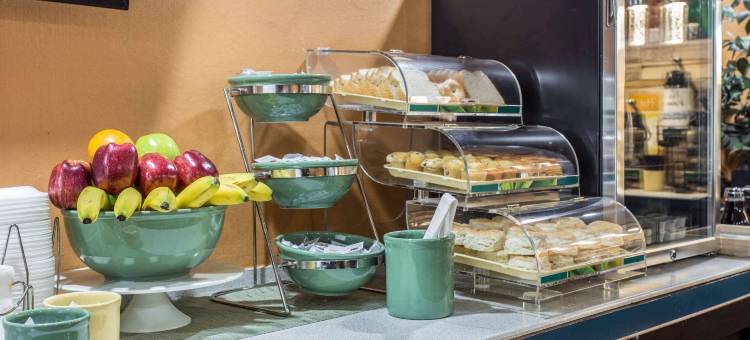 查尔斯顿古斯克里克凯艺酒店(Quality Inn Goose Creek - Charleston)图片