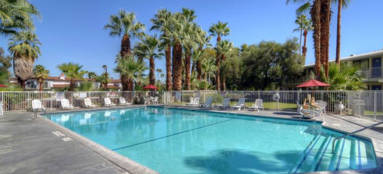 东部棕榈泉6号汽车旅馆(Motel 6 Palm Springs, CA - East - Palm Canyon)图片