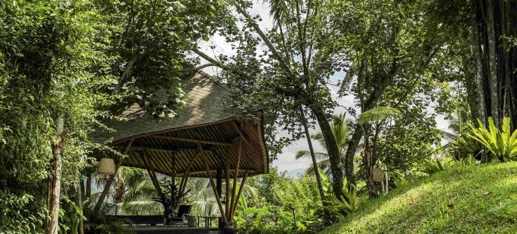 巴厘岛布罕悦榕逸境(Buahan, a Banyan Tree Escape)图片