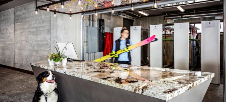 乔瑟-傲途格精选酒店(The Josie Hotel, Autograph Collection)图片