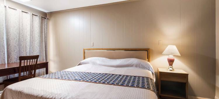 阿姆斯特丹骑士酒店(Knights Inn Amsterdam)图片