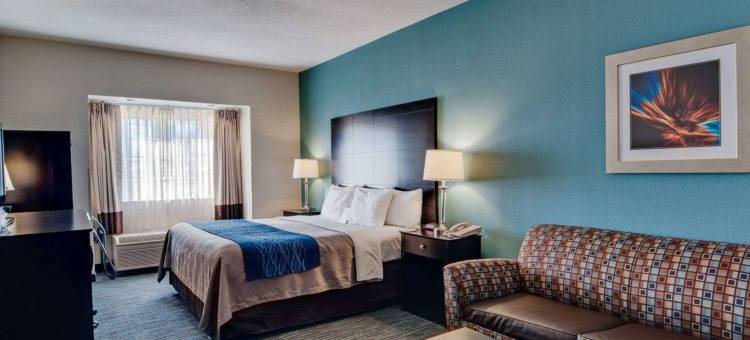 艾里山舒适酒店(Comfort Inn Mount Airy)图片