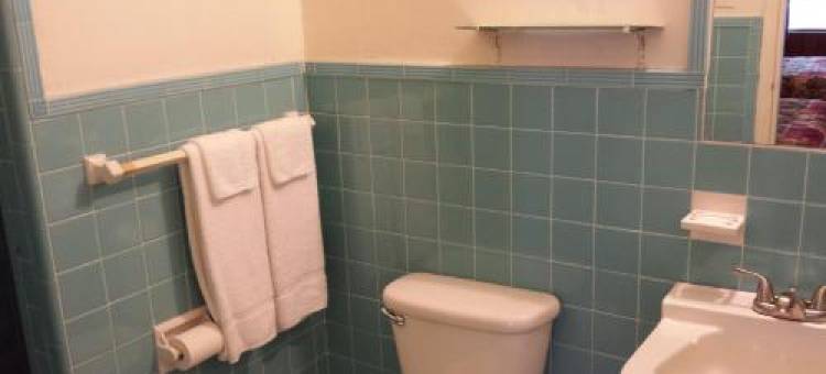 德州汽车旅馆(Texas Inn Motel)图片