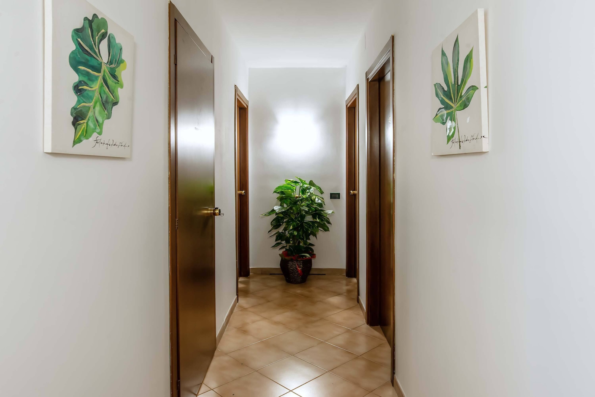 Plaza Rooms CiampinoOver view