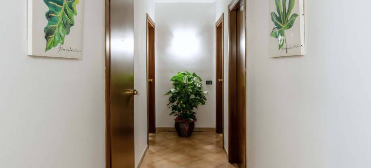 钱皮诺广场客房酒店(Plaza Rooms Ciampino)图片