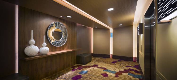 塞米诺尔硬石酒店及坦帕(Seminole Hard Rock Hotel and Casino Tampa)图片
