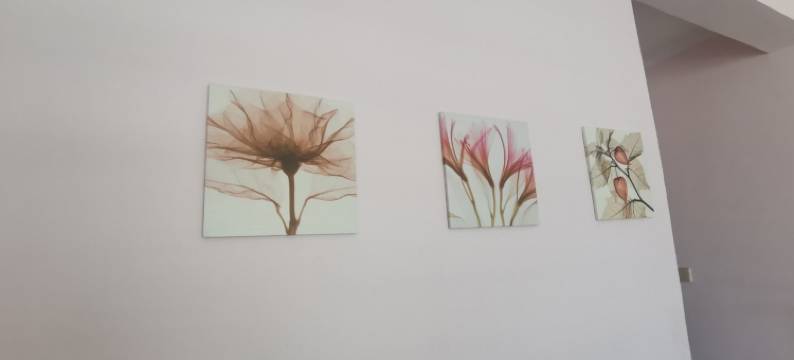 芮伊旅租金鹏恒假日旅租公寓(榆亚路1号分店)图片