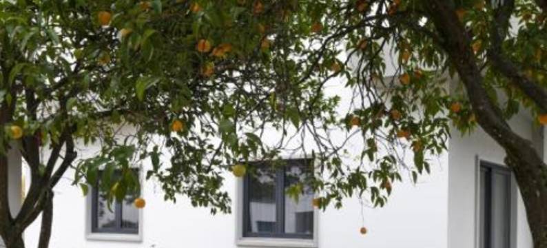 卡萨里约索莱雅旅馆(Casa do Rio Sorraia)图片