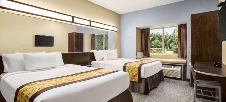 伍德斯托克/亚特兰大北麦客达温德姆酒店(Microtel Inn & Suites by Wyndham Woodstock/Atlanta North)图片