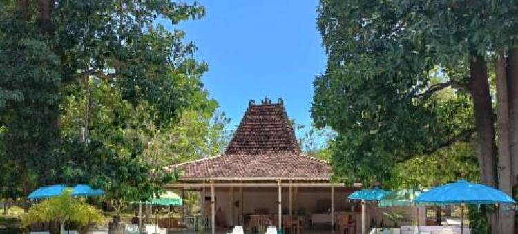 Maleo Moyo Hotel & Dive Resort图片