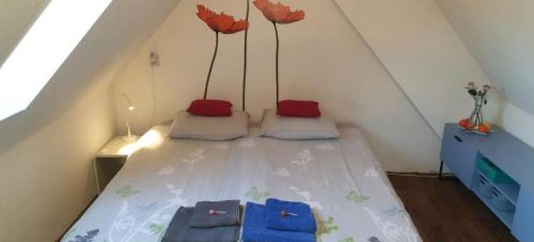 Bed & Bye Schiphol图片