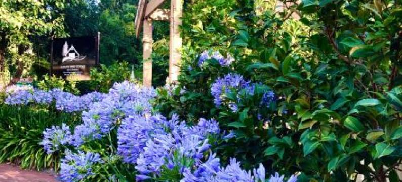 阿尔德盖特溪住宿加早餐木屋(Aldgate Creek Cottage Bed and Breakfast)图片