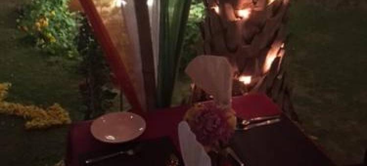 湿婆绿洲度假村(Shiva Oasis Resort)图片