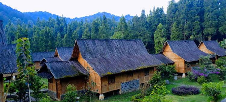 甘榜卡鲁亨苏坦拉贾别墅(Villa Kampung Karuhun Sutan Raja)图片