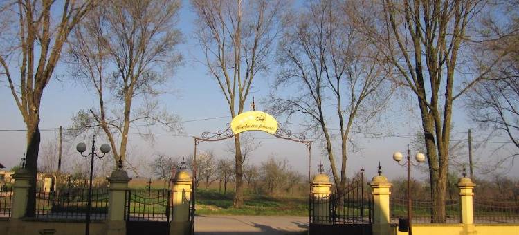 Motel Villa Kronić图片