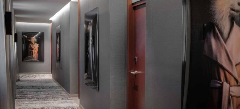 马德里格兰大道NH典藏酒店(NH Collection Gran Via)图片