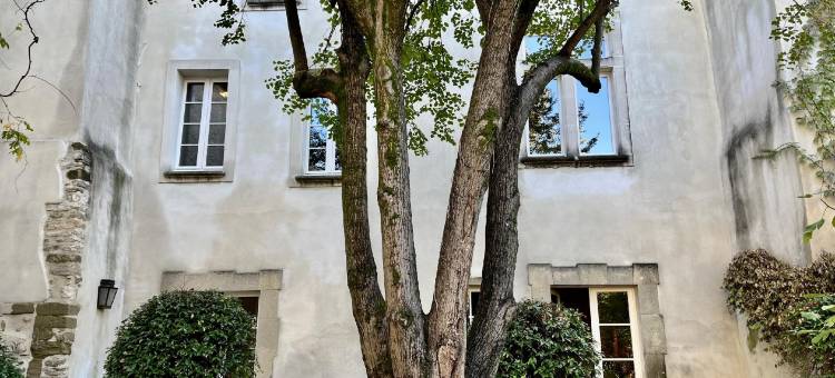 克洛斯达格拉紫罗兰酒店(Le Clos Violette d'Aglaé)图片