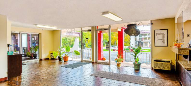 OYO伊利诺伊莫林市区I-74北酒店(Americas Best Value Inn Moline)图片