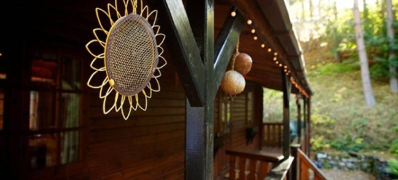 特瓦胡特斯旅馆(Twa Hoots Lodge)图片