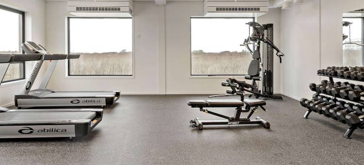 Aiden by Best Western Herning图片