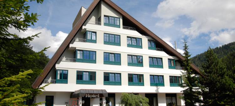 诺卡尔姆酒店(Kinder- Und Familienhotel Nockalm)图片