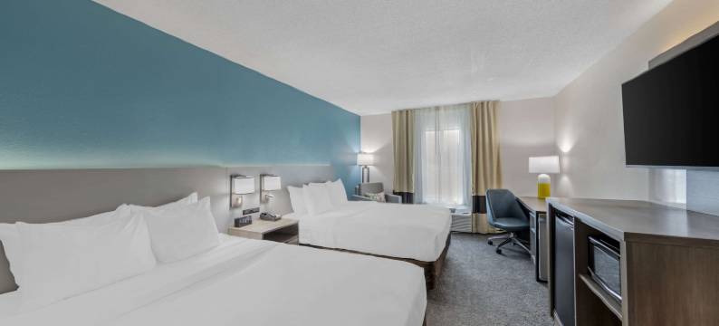 美国80号高速公路舒适酒店(Comfort Inn US Hwy 80)图片