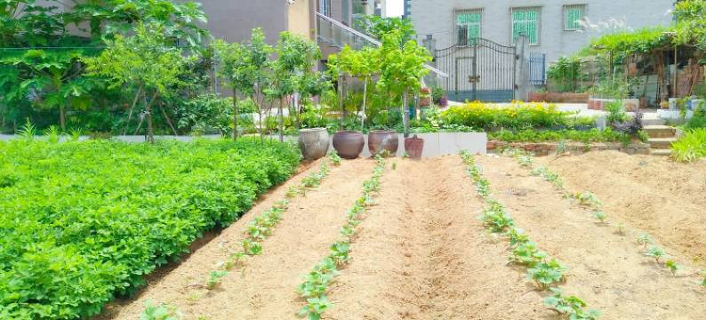 榕豪公寓(福州长乐国际机场店)图片