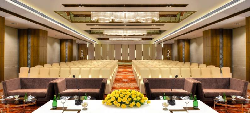 瓜廖尔丽筠酒店(Radisson Gwalior)图片