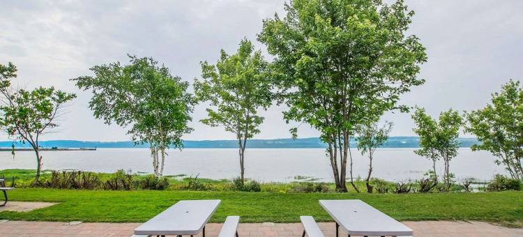 品质套房酒店(Hotel Quality Suites)图片