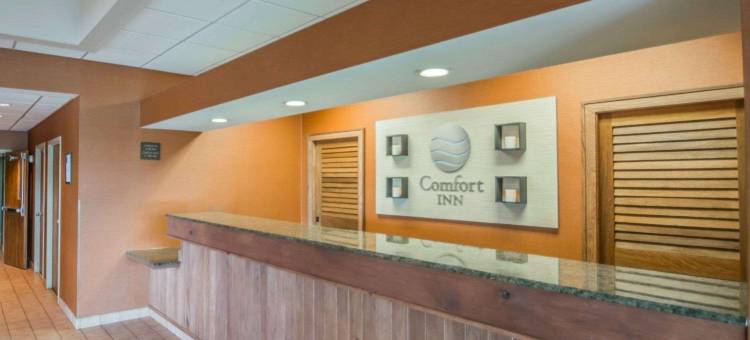 纽约州游乐场舒适酒店(Comfort Inn - Nys Fairgrounds)图片