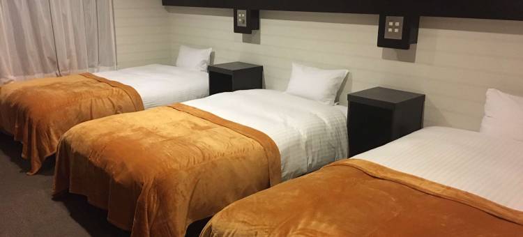 浜田站前人工温泉二股汤之华格林里奇酒店(Green Rich Hotel Hamada Ekimae (Artificial Hot Spring Futamata Yunohana))图片