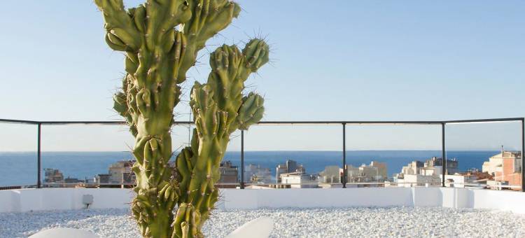 喜悦广场巴黎酒店(Alegria Plaza Paris)图片