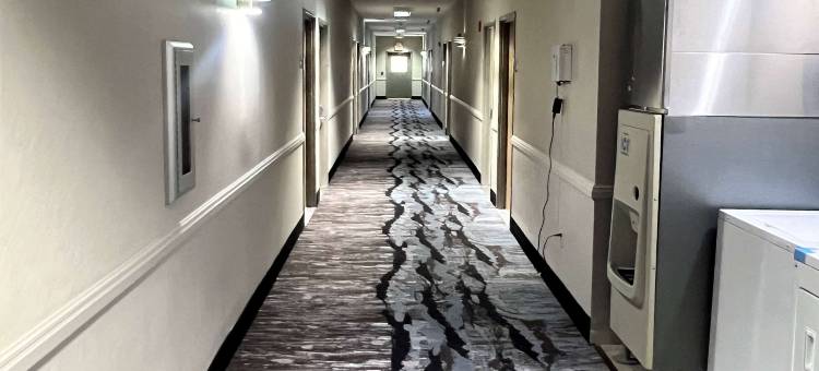 德纳姆泉-东巴吞鲁日戴斯酒店(Days Inn by Wyndham Denham Springs-Baton Rouge East)图片