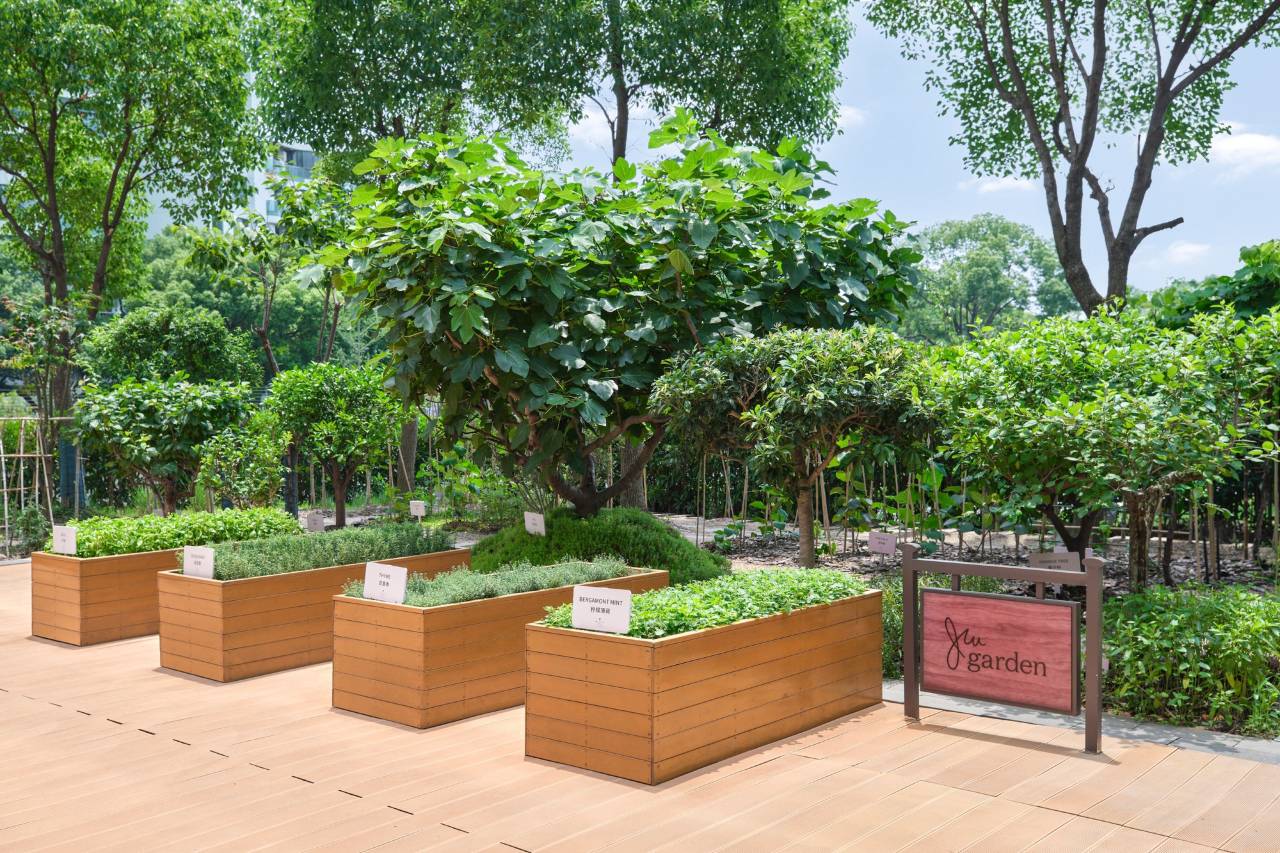 上海鲁能JW万豪侯爵酒店图片