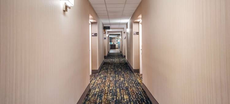 希尔顿欢朋酒店-温特黑文(Hampton Inn Winter Haven)图片