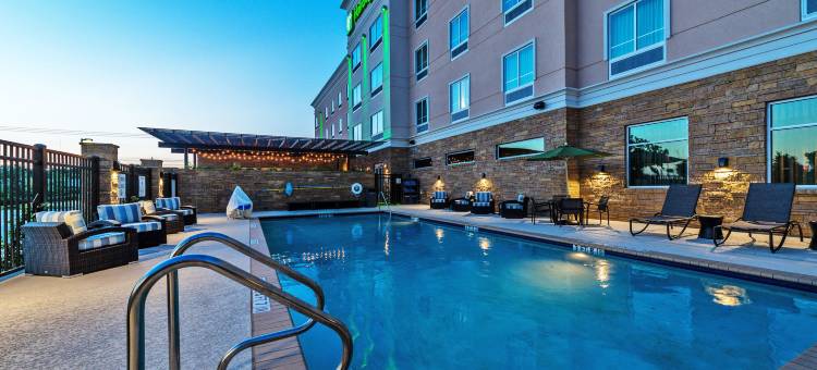 Holiday Inn 奥斯汀(Holiday Inn Austin Airport)图片